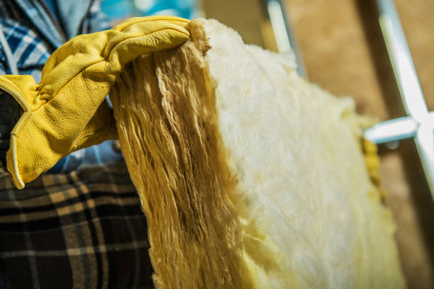 Best Energy-efficient Insulation  in Belzoni, MS