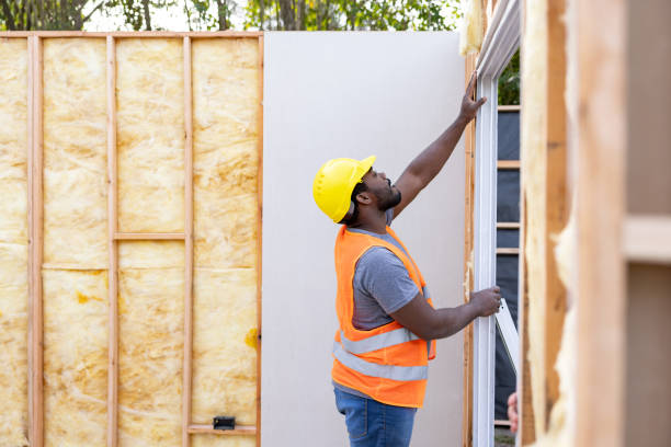 Best Attic Insulation Installation  in Belzoni, MS