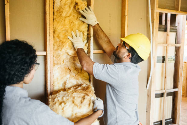 Best Attic Insulation Installation  in Belzoni, MS