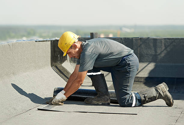 Best Insulation Replacement Services  in Belzoni, MS